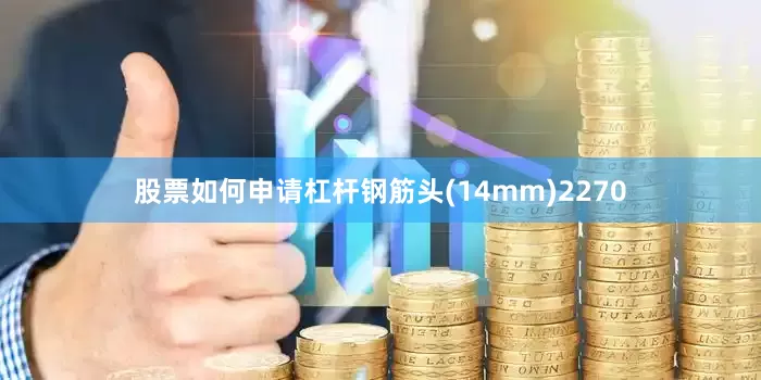 股票如何申请杠杆钢筋头(14mm)2270